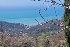 Moneglia