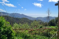Deiva Marina