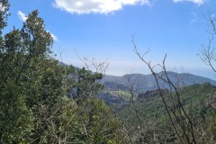 Deiva Marina