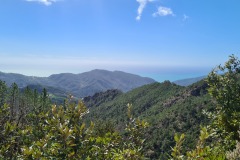 Deiva Marina