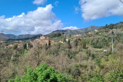 Castagnola