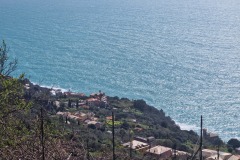 Castagnola