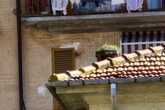 Piste cyclable de Framura à Levanto