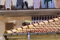 Piste cyclable de Framura à Levanto