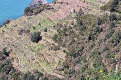 Corniglia