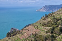 Corniglia