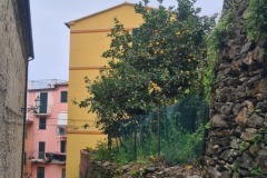 Corniglia