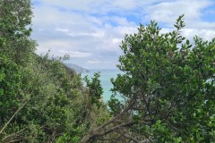Vernazza