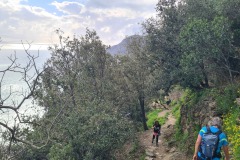 Vernazza