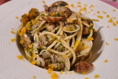 Levanto