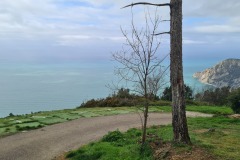 Cinque Terre : Monterosso