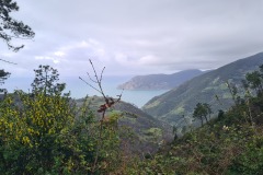 Cinque Terre : Vernazza et Monterosso