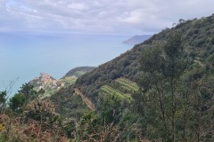 Cinque Terre : Manarola