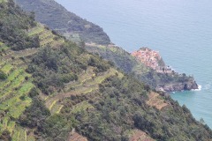 Cinque Terre : Manarola