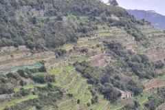 Cinque Terre : Manarola
