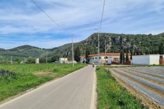 Vecchiano