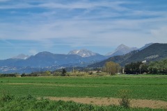 Vecchiano, vue vers les carrières de Carrare