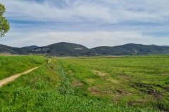Vecchiano
