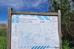 Lucca