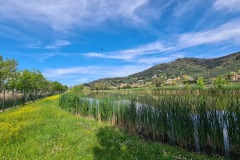 Massaciuccoli