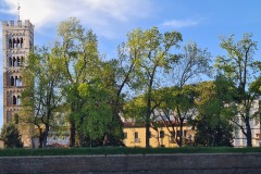 Lucca