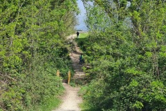 La Via Francigena à Altopascio