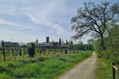 La Via Francigena à Altopascio
