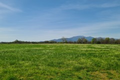 Castelfranco di Sotto