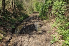La Via Francigena peut être boueuse...