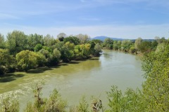 L'Arno à San Pierino