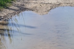 La Via Francigena peut être boueuse...