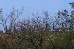 Gambassi Terme