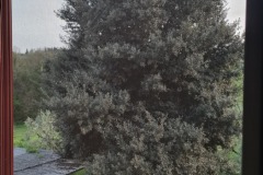 Gambassi Terme