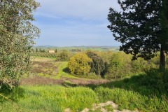Gambassi Terme