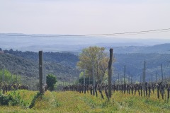 Gambassi Terme