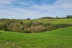 Gambassi Terme