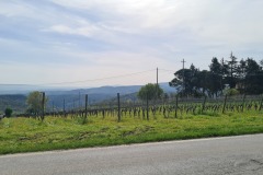 Gambassi Terme