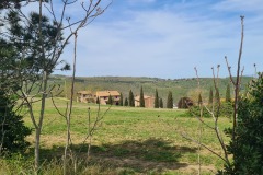 Gambassi Terme