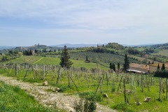 San Gimignano