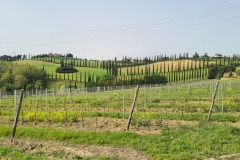 Départ de San Gimignano