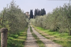 Poggibonsi
