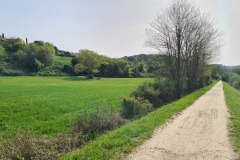 Piste cyclable de Poggibonsi à Colle di Val d'Elsa