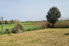 Abbadia Isola