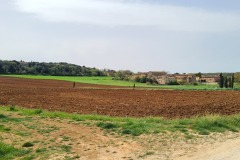 Monterriggioni (terre de Sienne)