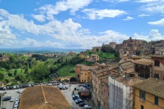 Sienne ; museo civico