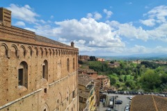 Sienne : museo civico