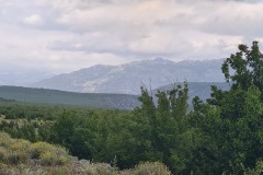20240610_094223