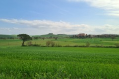 Monteroni d'Arbia : Cuna