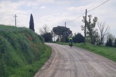Monteroni d'Arbia