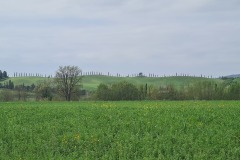 Monteroni d'Arbia